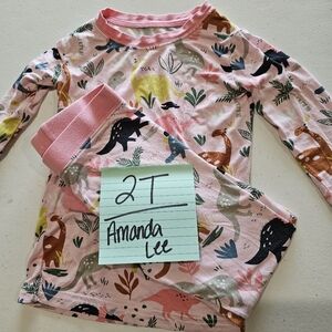 2T LS Pink Dinosaurs 2 Piece PJ's